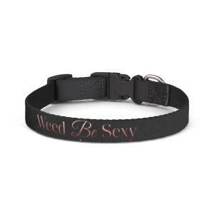 Clip-on Pet Collar
