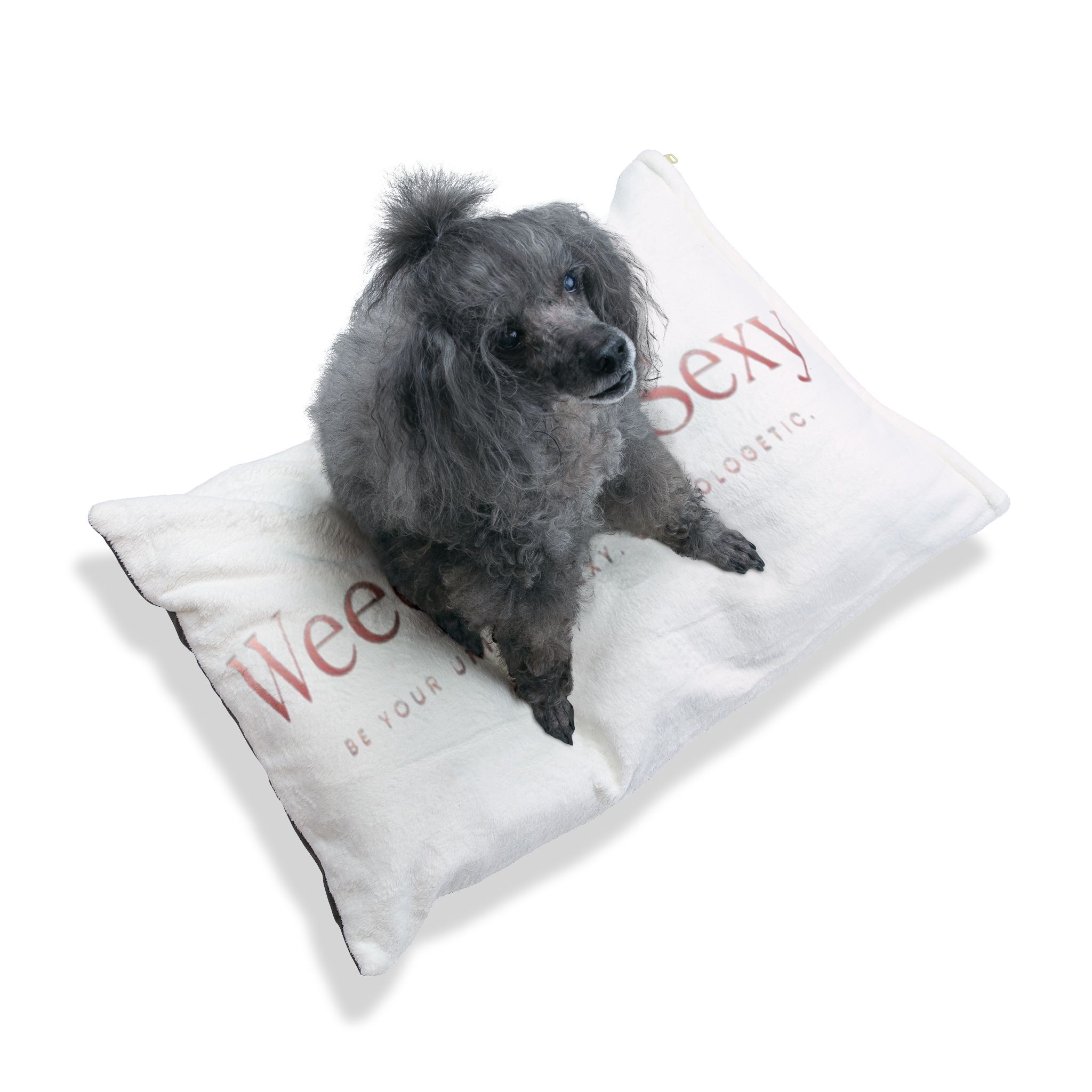 Pet Bed - Image 6