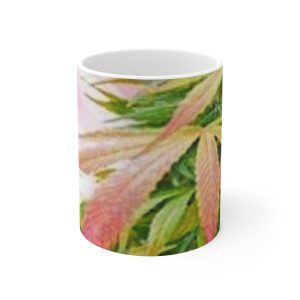 Mug 11oz